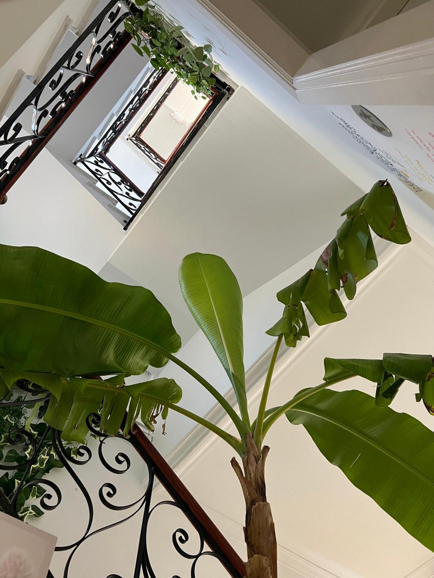 Balear Hotel Ciutadella  Bagian luar foto